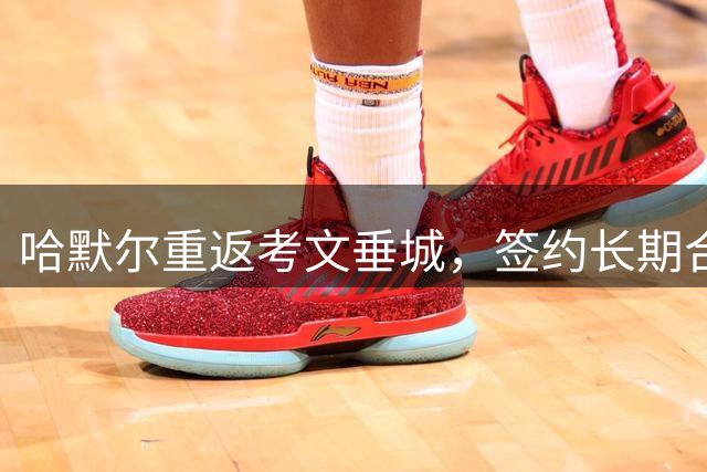 哈默尔重返考文垂城，签约长期合同